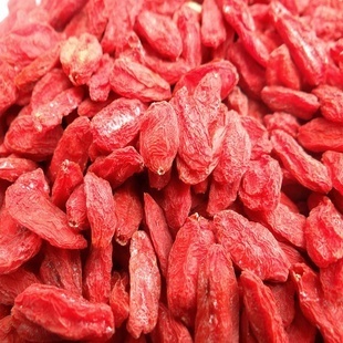 寧夏頭茬枸杞 源自塞上江南的養生瑰寶